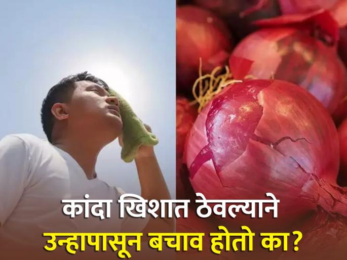 Does carrying onion in pocket saves you from heat stroke | उन्हाळ्यात खिशात कांदा ठेवून उष्माघाताचा धोका टाळता येतो? जाणून घ्या सत्य... Does carrying onion in pocket saves you from heat stroke | उन्हाळ्यात खिशात कांदा ठेवून उष्माघाताचा धोका टाळता येतो? जाणून घ्या सत्य...