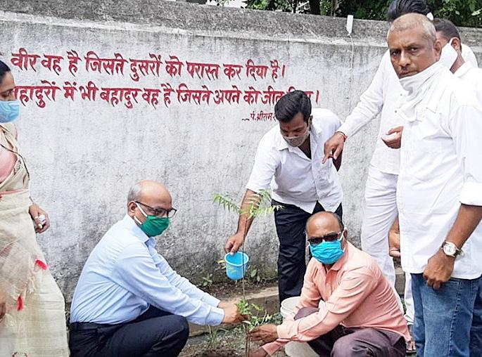 Tree conservation should be done by serving the tree just like the birth parents | जन्मदात्या मातापित्यांप्रमाणेच वृक्ष सेवा करून वृक्ष संवर्धन करावे Tree conservation should be done by serving the tree just like the birth parents | जन्मदात्या मातापित्यांप्रमाणेच वृक्ष सेवा करून वृक्ष संवर्धन करावे