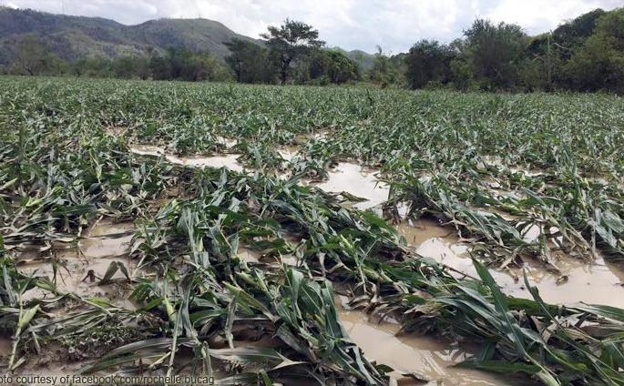 Excerpt from agriculture department on problems in Panchanama | पंचनाम्यातील अडचणींवर कृषी खात्याचा उतारा Excerpt from agriculture department on problems in Panchanama | पंचनाम्यातील अडचणींवर कृषी खात्याचा उतारा