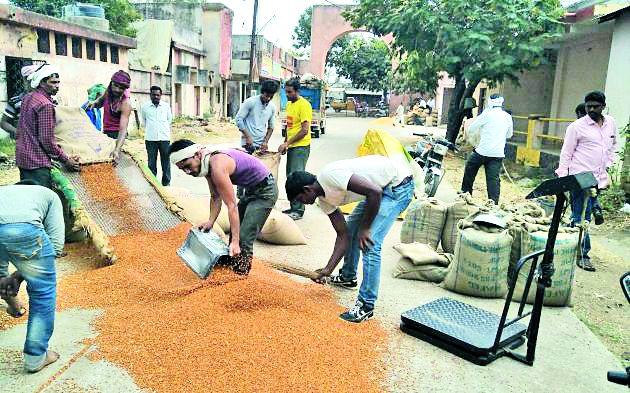 Text to Morseet Nafed Shopping Center | मोर्शीत नाफेडच्या खरेदी केंद्राकडे फिरविली पाठ