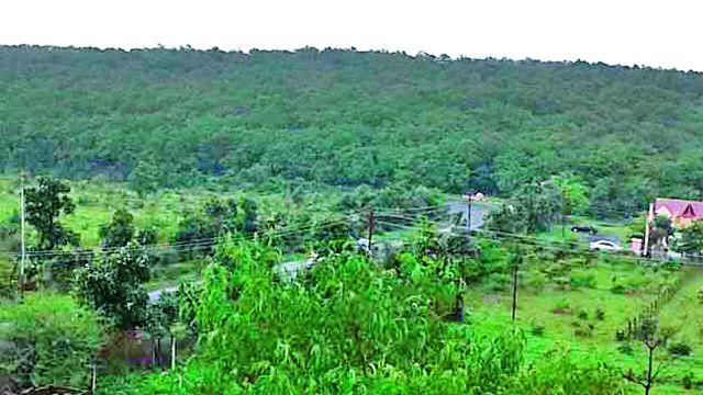 Wetting them in the rainy season ... | रिमझिम पावसातील ते ओलेचिंब होणे... Wetting them in the rainy season ... | रिमझिम पावसातील ते ओलेचिंब होणे...