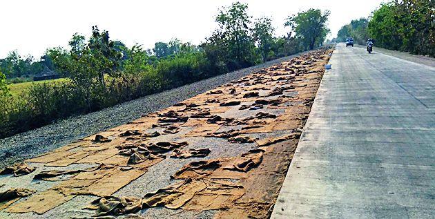 Halgarji in Curing Road | सिमेंट रस्त्यात क्यूरिंगमध्ये हलगर्जी