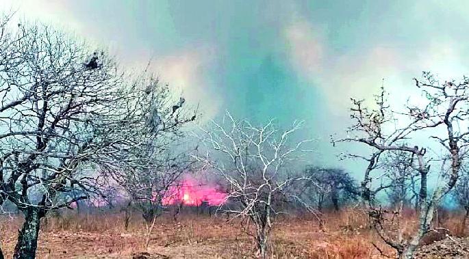 Poor forest fire; Damage to seven hectares | पोहरा जंगलात आग; सात हेक्टरला क्षती Poor forest fire; Damage to seven hectares | पोहरा जंगलात आग; सात हेक्टरला क्षती