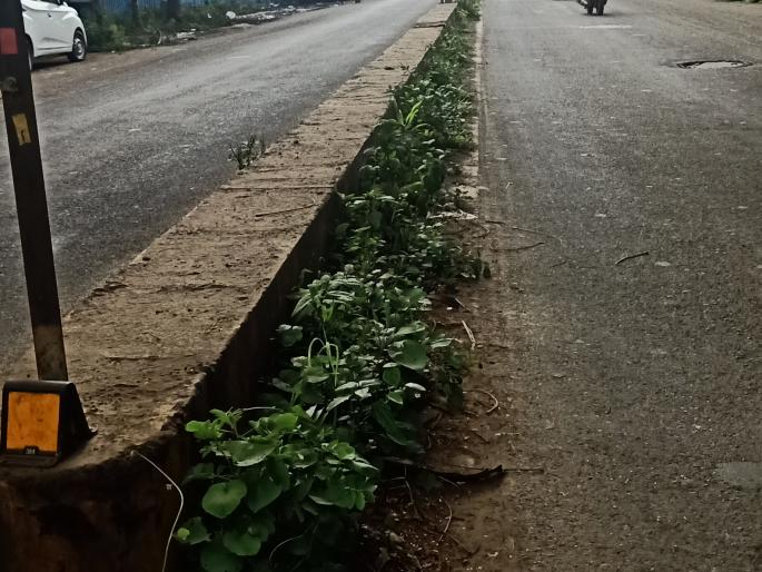 The condition of the divider on Artillery Road | आर्टिलरी रोडवरील दुभाजकाची दुरवस्था