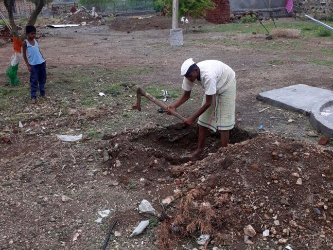 'Mission Green Mango' on the desert! | ओसाड माळावर आता ‘मिशन ग्रीन माण’! 'Mission Green Mango' on the desert! | ओसाड माळावर आता ‘मिशन ग्रीन माण’!