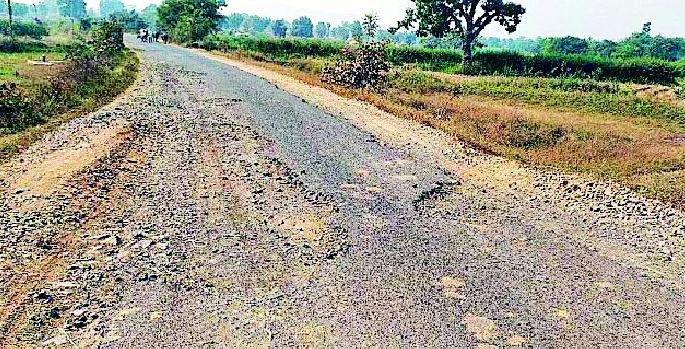The dreaded conditions of the roads in the gray area | करडी परिसरातील रस्त्यांची भयावह अवस्था The dreaded conditions of the roads in the gray area | करडी परिसरातील रस्त्यांची भयावह अवस्था