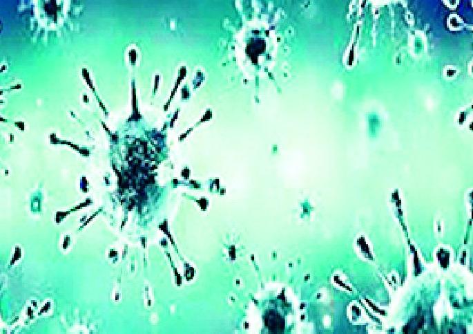 24 patients became corona free | २४ रुग्ण झाले कोरोनामुक्त 24 patients became corona free | २४ रुग्ण झाले कोरोनामुक्त