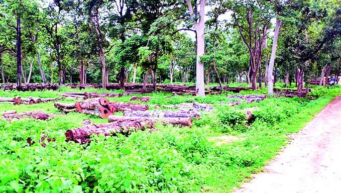 No one built a pillar there, no fire or wind | स्तंभ तिथे ना कुणी बांधला, पेटली ना वात No one built a pillar there, no fire or wind | स्तंभ तिथे ना कुणी बांधला, पेटली ना वात