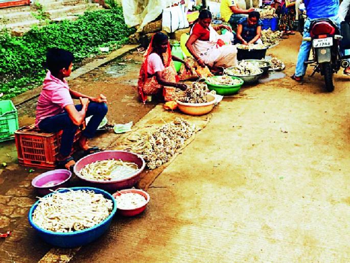 Madhya Pradesh wholesale sale to you | मध्यप्रदेशातील सात्यांची तुमसरात विक्री Madhya Pradesh wholesale sale to you | मध्यप्रदेशातील सात्यांची तुमसरात विक्री