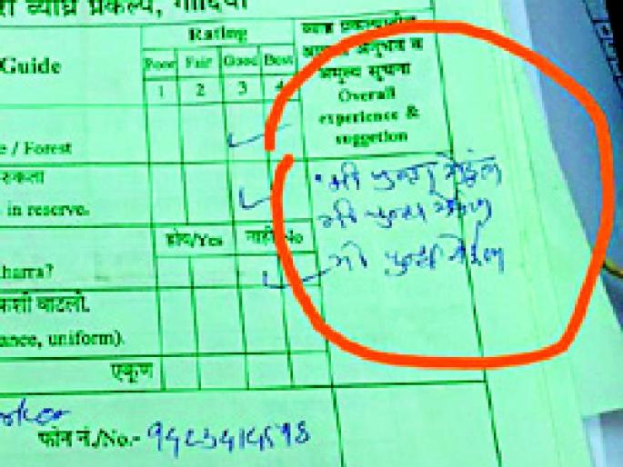 Tourists say 'I will come again, I will come again' at Coca Sanctuary | पर्यटक म्हणतात, कोका अभयारण्यात ‘मी पुन्हा येईल, मी पुन्हा येईल’ Tourists say 'I will come again, I will come again' at Coca Sanctuary | पर्यटक म्हणतात, कोका अभयारण्यात ‘मी पुन्हा येईल, मी पुन्हा येईल’