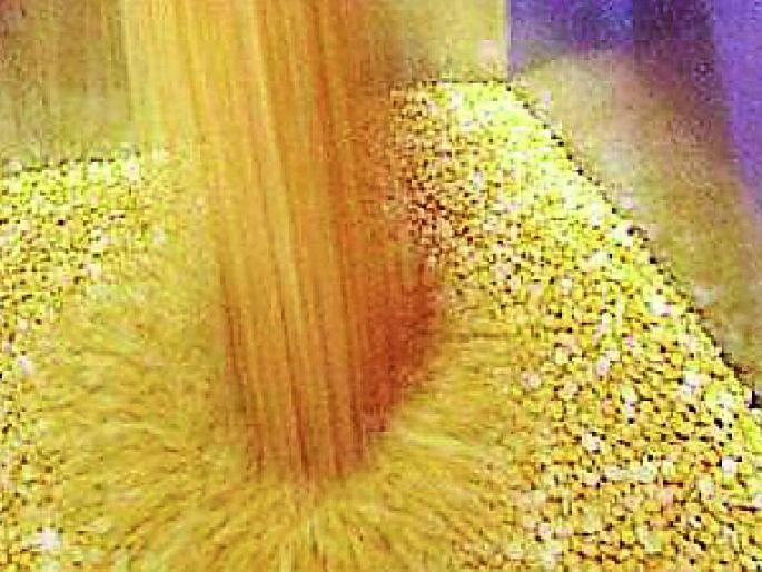 Chief Minister's order to cheat the purchase of tur | तूर खरेदीचे चुकारे देण्याचे मुख्यमंत्र्यांचे आदेश Chief Minister's order to cheat the purchase of tur | तूर खरेदीचे चुकारे देण्याचे मुख्यमंत्र्यांचे आदेश