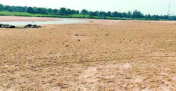 Fruit farming in Wainganga, Bawanthadi river basin is outdated | वैनगंगा, बावनथडी नदीपात्रातील फळांची शेती कालबाह्य