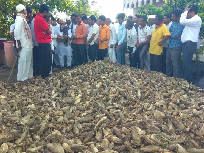  Immediate assistance to the farmers after the formation of the government | सरकार स्थापनेनंतर शेतकऱ्यांना तातडीने मदत