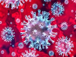 74 newly infected patients in Ojhar area | ओझर परिसरात ७४ नवे बाधित रुग्ण