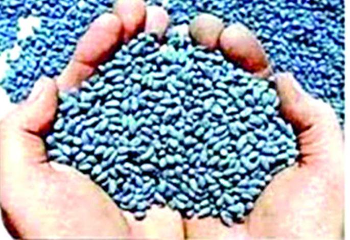 Be careful! Administration's 'watch' on bogus seed sellers | सावधान ! बोगस बियाणे विक्री करणाऱ्यांवर प्रशासनाचा ‘वॉच’
