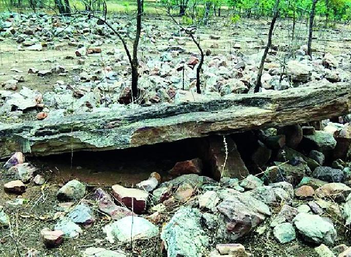 History of the colossal cemetery | बृहदाश्मयुगीन दफनभूमी उलगडणार इतिहास History of the colossal cemetery | बृहदाश्मयुगीन दफनभूमी उलगडणार इतिहास