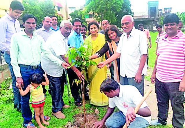 9 7 thousand trees of biodiversity in different parts of the city | शहरातील विविध प्रभागात लावणार जैवविविधतेचे ९७ हजार वृक्ष 9 7 thousand trees of biodiversity in different parts of the city | शहरातील विविध प्रभागात लावणार जैवविविधतेचे ९७ हजार वृक्ष