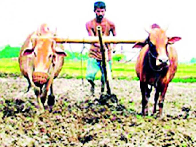 Farmers in the district under debt burden | जिल्ह्यातील शेतकरी कर्जाच्या ओझ्याखाली