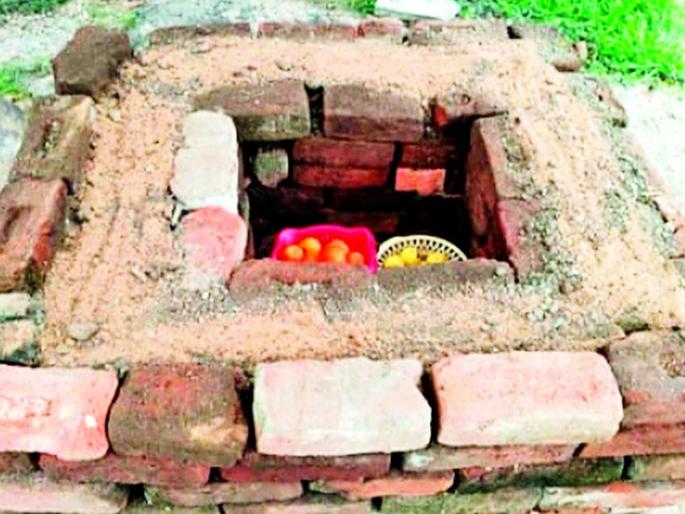 A zero energy cold storage makes it possible to store vegetables for four days | शून्य ऊर्जा शीतगृहामुळे चार दिवस भाजीपाला टिकविणे होणार शक्य A zero energy cold storage makes it possible to store vegetables for four days | शून्य ऊर्जा शीतगृहामुळे चार दिवस भाजीपाला टिकविणे होणार शक्य