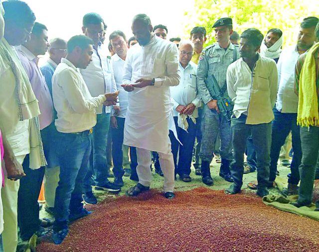 The gram and turmeric will be available in the month of June | चना, तुरीचे प्रलंबित चुकारे जून महिन्यात मिळणार The gram and turmeric will be available in the month of June | चना, तुरीचे प्रलंबित चुकारे जून महिन्यात मिळणार