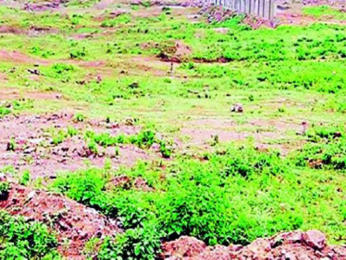 Eyes on the reserved plot | आरक्षित भूखंडाकडे डोळेझाक Eyes on the reserved plot | आरक्षित भूखंडाकडे डोळेझाक