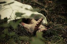 Isma's body unknown to Trimbak | त्र्यंबकला अनोळखी इसमाचा मृतदेह Isma's body unknown to Trimbak | त्र्यंबकला अनोळखी इसमाचा मृतदेह