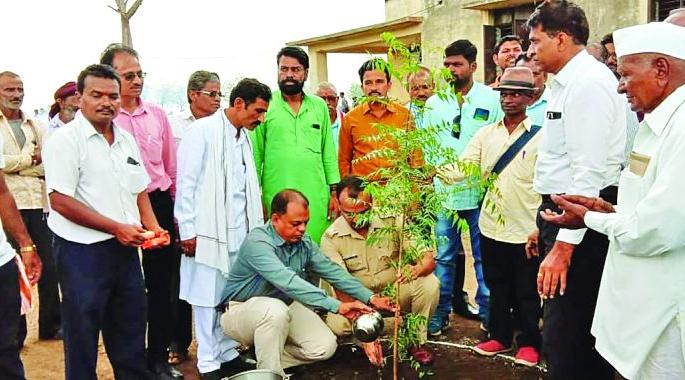 One thousand neem planted in ten minutes! | दहा मिनिटांत केली एक हजार कडूनिंबाची लागवड! One thousand neem planted in ten minutes! | दहा मिनिटांत केली एक हजार कडूनिंबाची लागवड!