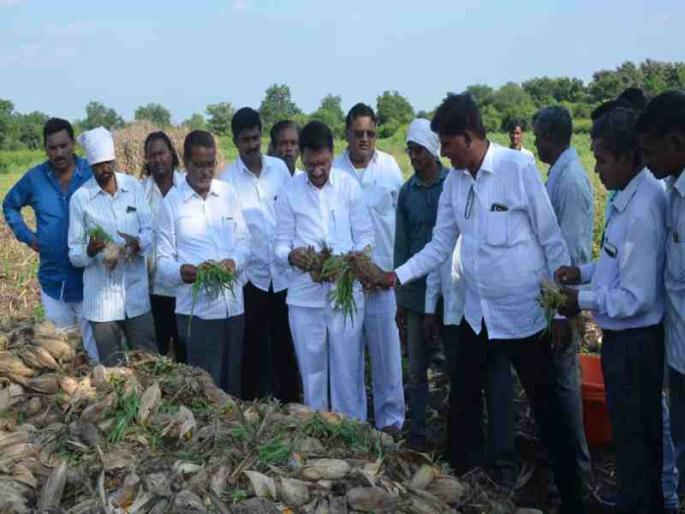 Tears of distress come to the farmer while lamenting ... | अन् व्यथा मांडतांना शेतकऱ्याला झाले अश्रु अनावर... Tears of distress come to the farmer while lamenting ... | अन् व्यथा मांडतांना शेतकऱ्याला झाले अश्रु अनावर...
