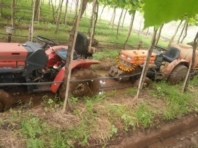 Soybean, maize crops hit Yeola taluka | येवला तालुक्यात सोयाबीन, मका पिकांना फटका