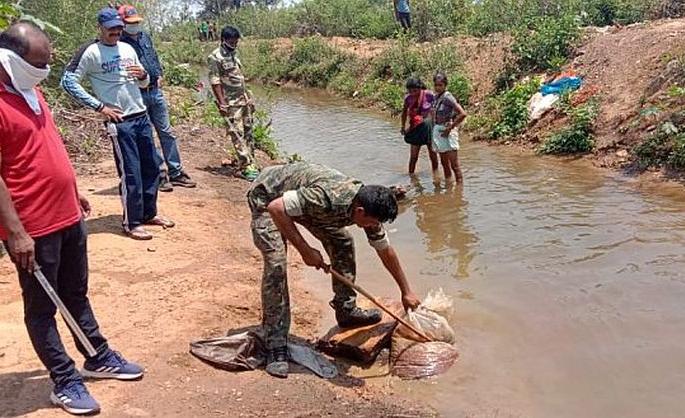 Mahua destroy by police in Gadchiroli worth more than 2 lacs | गडचिरोलीत सव्वादोन लाखांचा सडवा नष्ट
