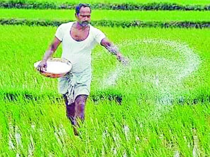 Allocation of urea only to farmers who pay double price | दामदुप्पट किंमत मोजणाऱ्या शेतकऱ्यांनाच युरियाचे वाटप Allocation of urea only to farmers who pay double price | दामदुप्पट किंमत मोजणाऱ्या शेतकऱ्यांनाच युरियाचे वाटप