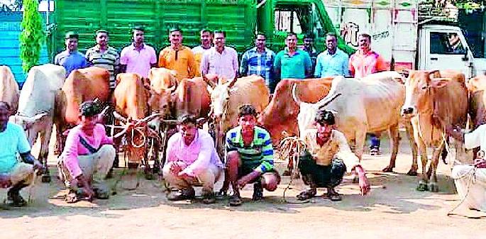 Livestock to animals due to police | पोलिसांमुळे जनावरांना जीवदान