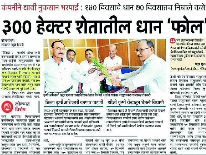 Gorakhnath paddy decreased by 2.5 quintals per hectare | गोरखनाथ धानाची हेक्टरी ३.०६ क्विंटलने घट Gorakhnath paddy decreased by 2.5 quintals per hectare | गोरखनाथ धानाची हेक्टरी ३.०६ क्विंटलने घट