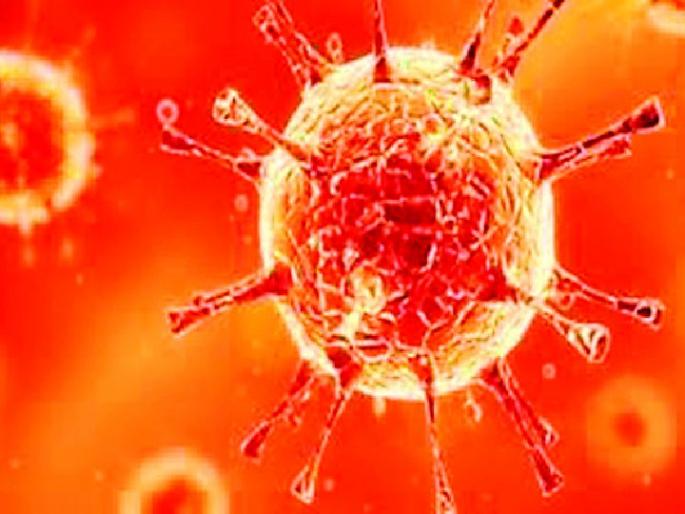 The number of patients in the district increased by 42.35 percent in 7 days | जिल्ह्यात ७ दिवसात वाढले ४२.३५ टक्के रुग्ण The number of patients in the district increased by 42.35 percent in 7 days | जिल्ह्यात ७ दिवसात वाढले ४२.३५ टक्के रुग्ण