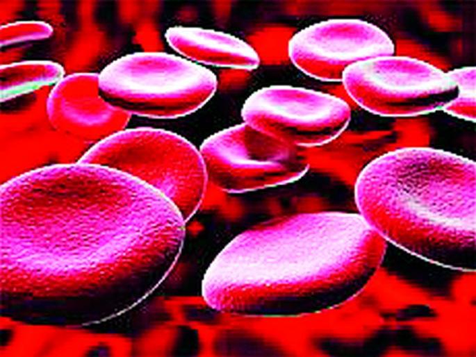 Eat jaggery-peanuts and increase hemoglobin instantly | गूळ-शेंगदाणे खा आणि हिमोग्लोबिन झटपट वाढवा Eat jaggery-peanuts and increase hemoglobin instantly | गूळ-शेंगदाणे खा आणि हिमोग्लोबिन झटपट वाढवा