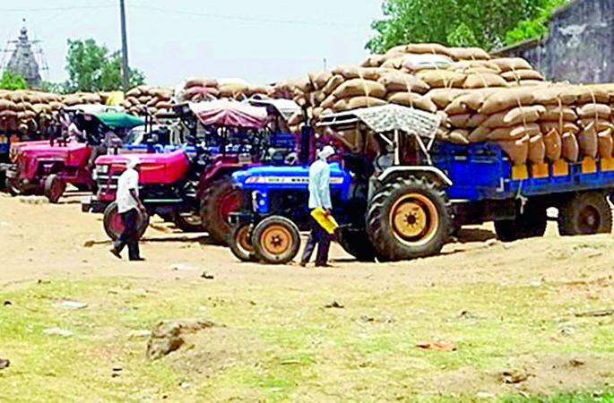 45 thousand quintals of paddy missing from 6 centers of Marketing Federation! | मार्केटिंग फेडरेशनच्या 6 केंद्रांवरून 45 हजार क्विंटल धान गायब ! 45 thousand quintals of paddy missing from 6 centers of Marketing Federation! | मार्केटिंग फेडरेशनच्या 6 केंद्रांवरून 45 हजार क्विंटल धान गायब !