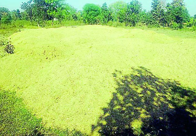 The illegal stocks of river bank seized | नदीपात्रालगतचा रेतीचा अवैध साठा जप्त The illegal stocks of river bank seized | नदीपात्रालगतचा रेतीचा अवैध साठा जप्त