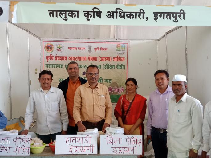 Dunka at Hastassid Rice Agriculture Festival | हातसडीच्या तांदळाचा कृषि महोत्सवात डंका Dunka at Hastassid Rice Agriculture Festival | हातसडीच्या तांदळाचा कृषि महोत्सवात डंका