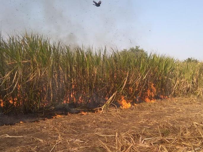 60 acres of sugarcane burned | ६० एकरांतील ऊस जळून खाक 60 acres of sugarcane burned | ६० एकरांतील ऊस जळून खाक