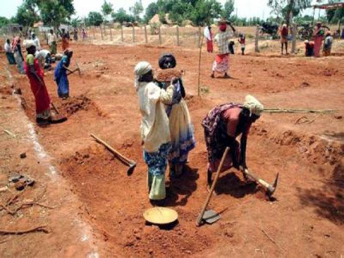 6500 laborers working on EGS work | रोहयोच्या कामावर ६५०० मजूर कार्यरत 6500 laborers working on EGS work | रोहयोच्या कामावर ६५०० मजूर कार्यरत