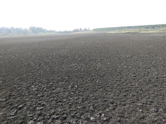 Jui Dam dry; Water scarcity of 25 villages | जुई धरण कोरडेठाक; २५ गावांवर पाणीटंचाईचे सावट Jui Dam dry; Water scarcity of 25 villages | जुई धरण कोरडेठाक; २५ गावांवर पाणीटंचाईचे सावट