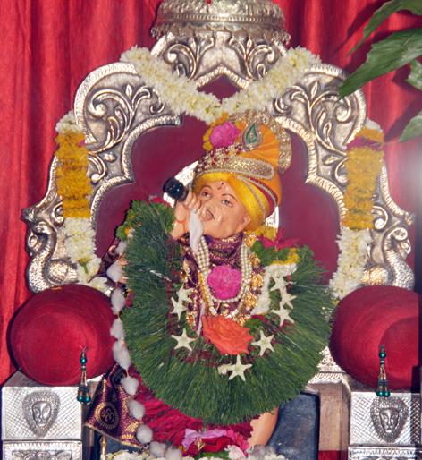 Residents of the plot are responsible for cleanliness | भूखंड स्वच्छतेची जबाबदारी रहिवाशांची