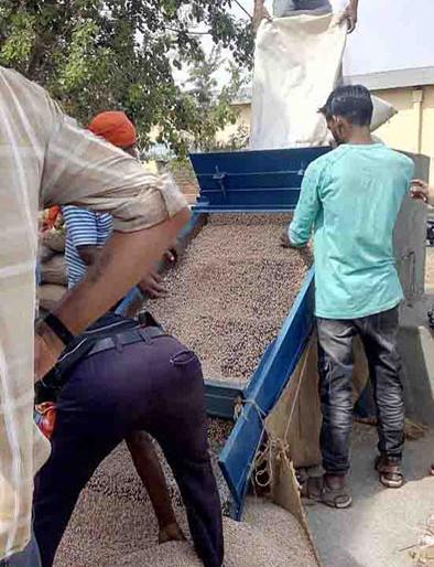 Purchase of five crores rupees of tur in the district | जिल्ह्यात पाच कोटी रूपयांची तूर खरेदी Purchase of five crores rupees of tur in the district | जिल्ह्यात पाच कोटी रूपयांची तूर खरेदी