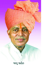 Mahadik's confidence overflow | महाडिकांची भिस्त भरमूअण्णांवर Mahadik's confidence overflow | महाडिकांची भिस्त भरमूअण्णांवर