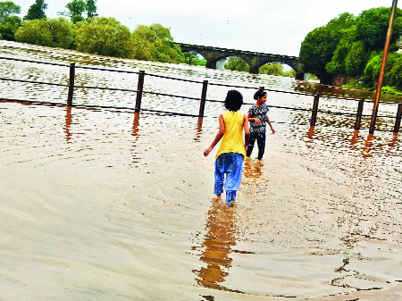 Tree collapses on Kolhapur-Ratnagiri road; Out of Panchganga Patra | कोल्हापूर-रत्नागिरी रस्त्यावर झाड कोसळले; पंचगंगा पात्राबाहेर Tree collapses on Kolhapur-Ratnagiri road; Out of Panchganga Patra | कोल्हापूर-रत्नागिरी रस्त्यावर झाड कोसळले; पंचगंगा पात्राबाहेर