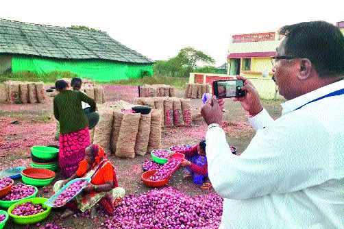 Onion stocks are being inspected daily | कांदा साठ्याची आता दररोज होणार तपासणी Onion stocks are being inspected daily | कांदा साठ्याची आता दररोज होणार तपासणी