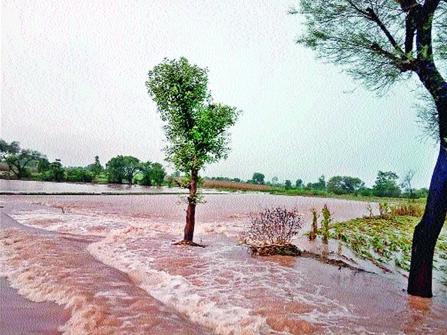 Demand for wet drought declared | ओला दुष्काळ जाहीर करण्याची मागणी