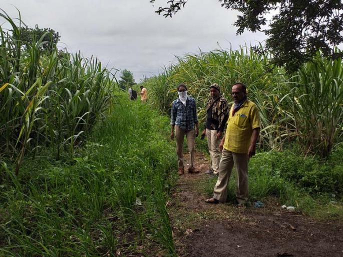 Forest department finds leopard footprints | वनविभागाला सापडले बिबट्यांच्या पायाचे ठसे Forest department finds leopard footprints | वनविभागाला सापडले बिबट्यांच्या पायाचे ठसे