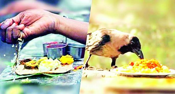 Paparazzi inflation | पितरांच्या पिंडाना महागाईचा काकस्पर्श... Paparazzi inflation | पितरांच्या पिंडाना महागाईचा काकस्पर्श...