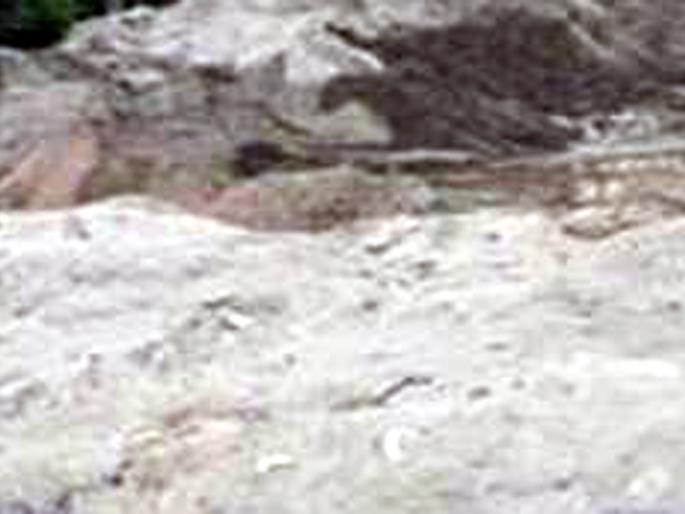 Parbhani: Dhanay on the illegal sandstone in Godavari | परभणी : गोदाकाठच्या अवैध वाळूसाठ्यावर धाडी